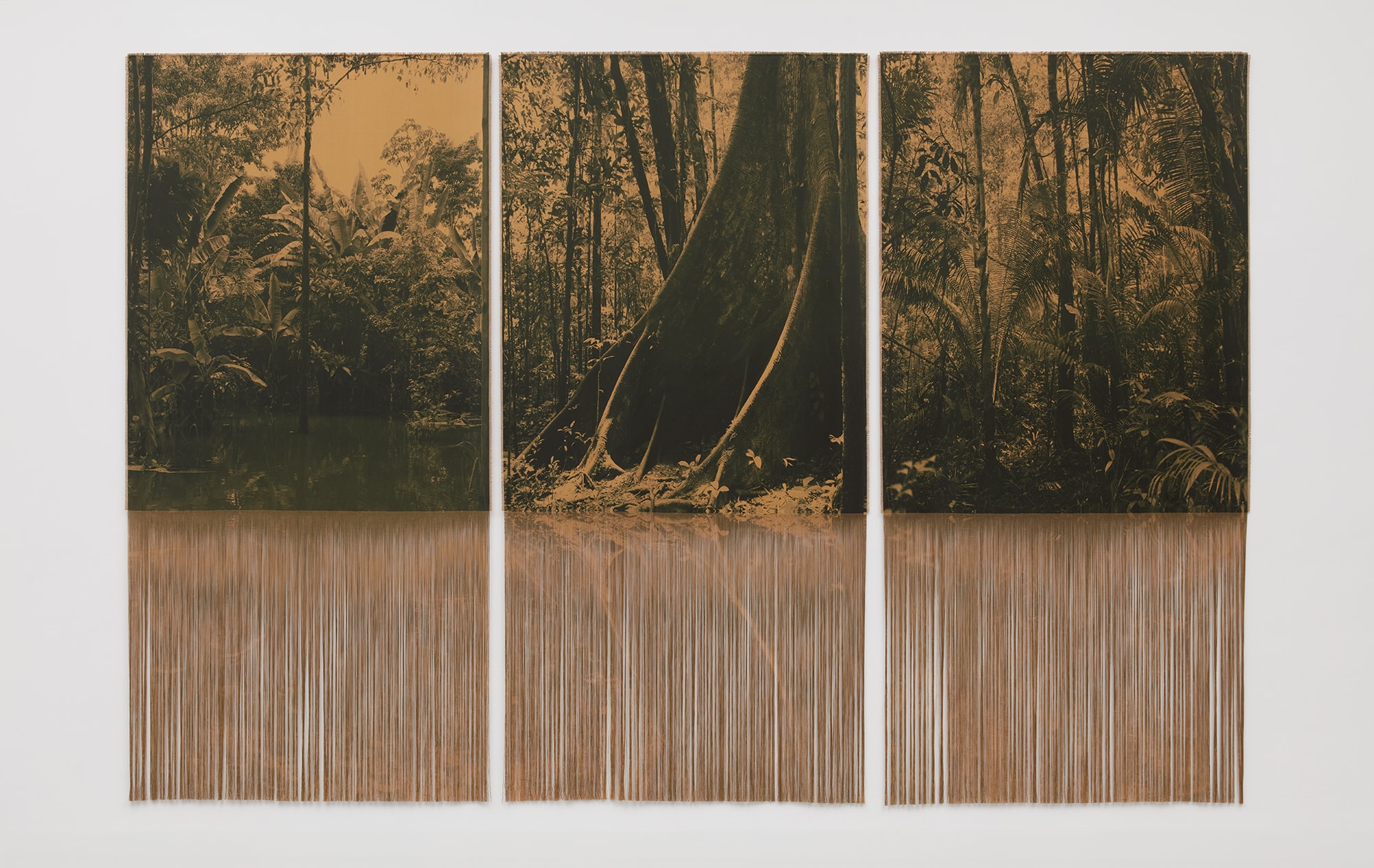 Triptych artwork of a dense forest scene in sepia tones; the bottom of each panel has long, thin, vertical strips cut away, creating a fringe-like effect that distorts the lower part of the image.