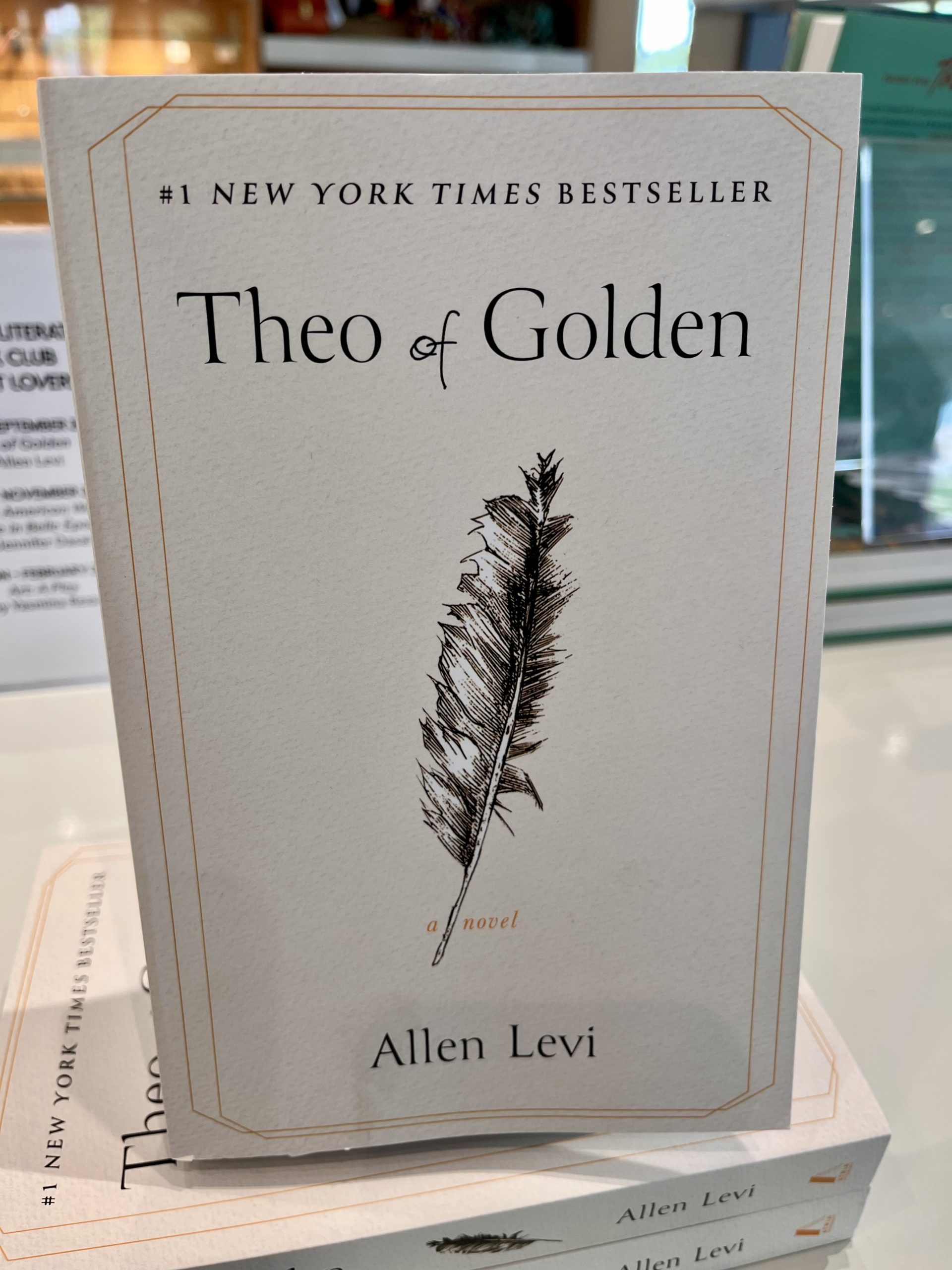 The cover of the book “Theo of Golden” by Allen Levi, featuring a drawing of a feather and text indicating it is a #1 New York Times Bestseller.