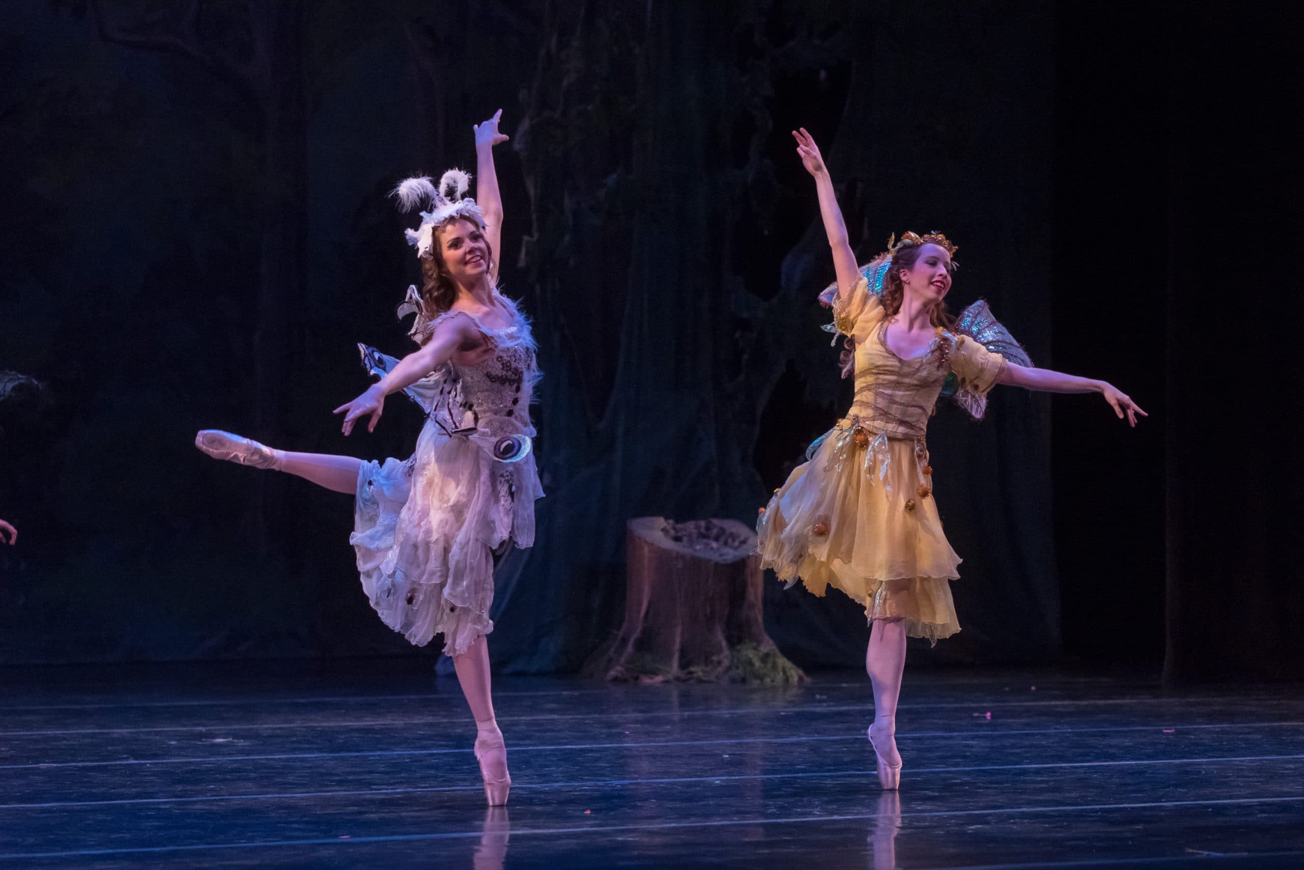 Two ballet dancers perform on stage, each balancing on one leg with arms raised. One wears a feathered white costume; the other, a yellow dress with leafy details. The background suggests a forest scene.