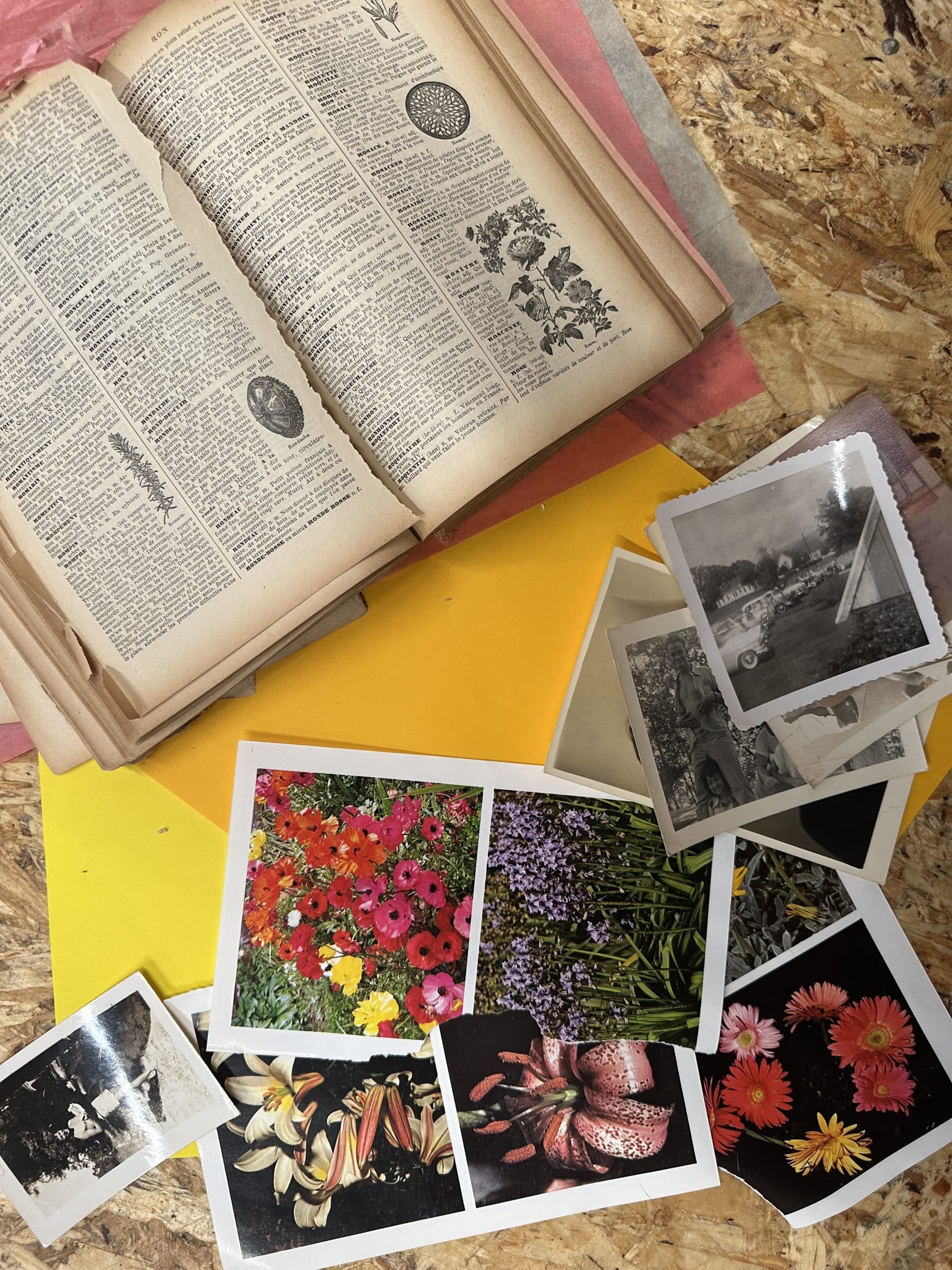 An open vintage dictionary with botanical illustrations sits beside a scattered pile of black-and-white and color flower photographs on a wooden surface with yellow and pink paper underneath.