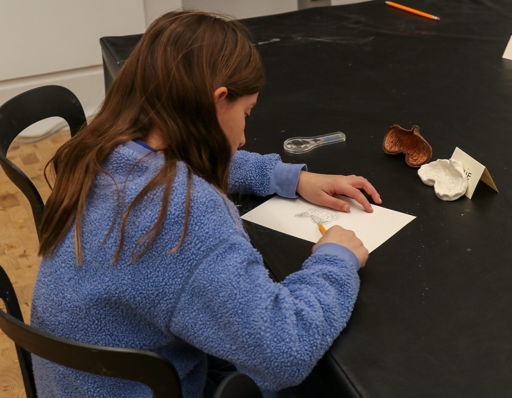 A child with long brown hair in a blue sweater sketches on white paper at a black table, with a magnifying glass and nature objects nearby. A name card labeled "Bensen" is on the table.