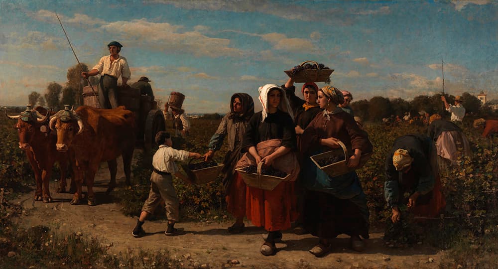 A group of farm workers harvest grapes in a vineyard under a blue sky. Women carry baskets of grapes, a child assists, and an ox-drawn cart filled with grapes is in the background. A man sits atop the cart. Fields stretch into the distance.