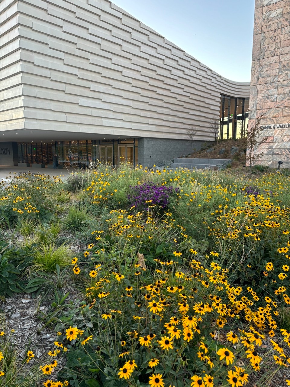 A modern building with textured walls stands behind a garden filled with blooming yellow and purple flowers. The sky is clear and the scene is tranquil.
